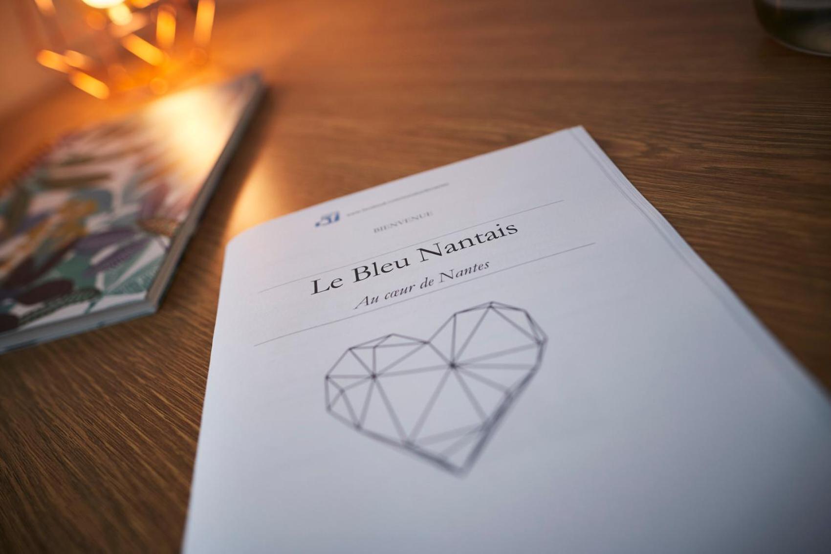 Le Bleu Nantais Lejlighed Nantes Eksteriør billede